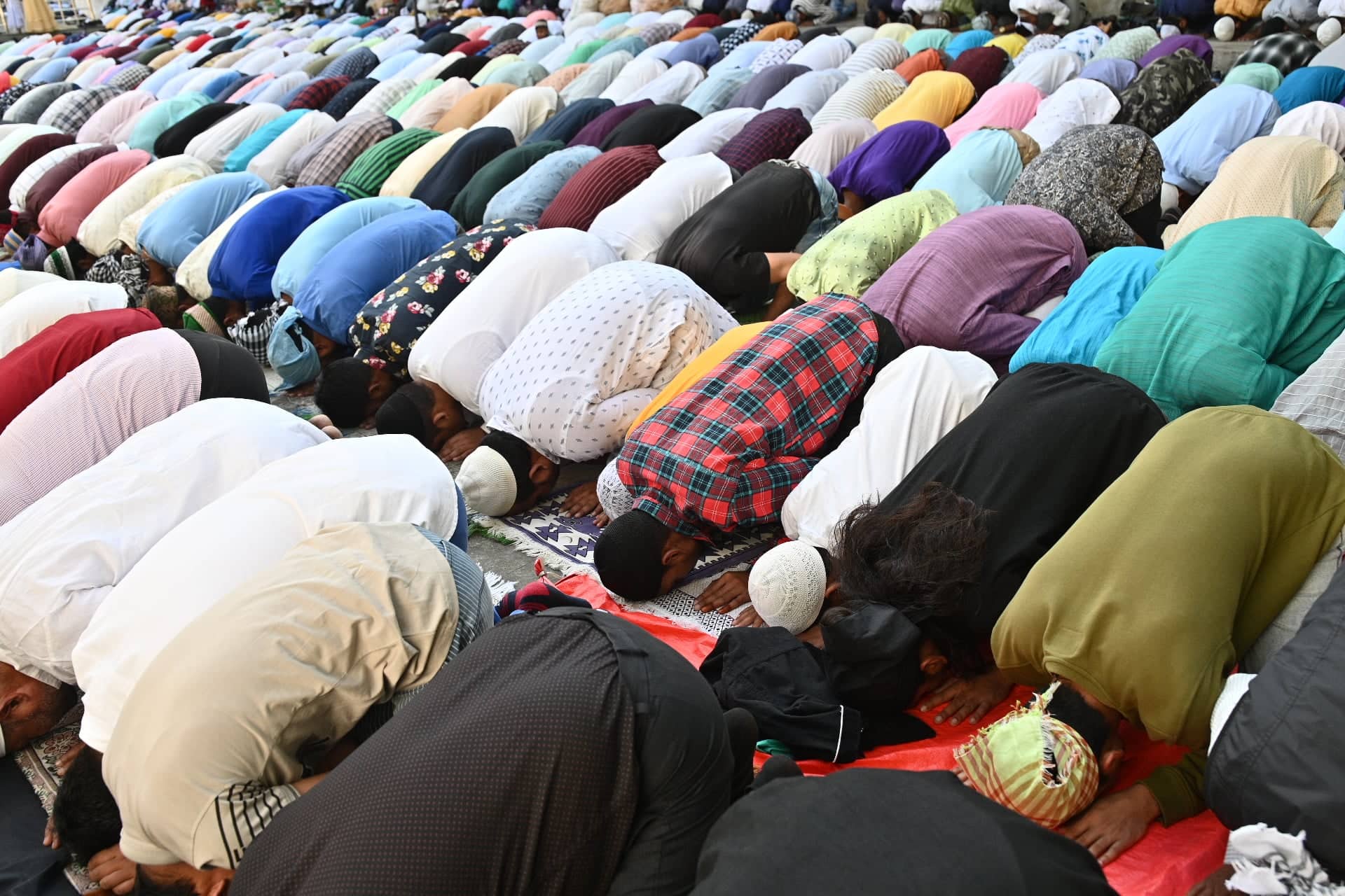 Bakar eid  (3)1657429736.jpg
